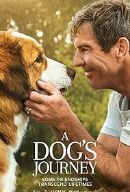 A Dog s Journey watch-A Dog s Journey