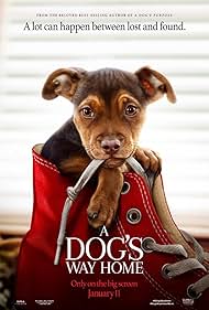 A Dog s Way Home watch-A Dog s Way Home