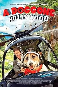 A Doggone Hollywood watch-A Doggone Hollywood