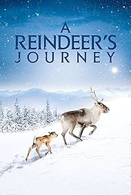 A Reindeer s Journey watch-A Reindeer s Journey