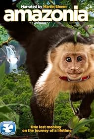 Amazonia watch-Amazonia