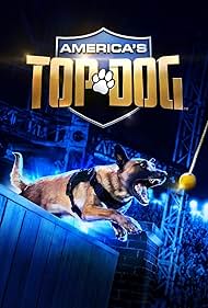 America s Top Dog watch-America s Top Dog