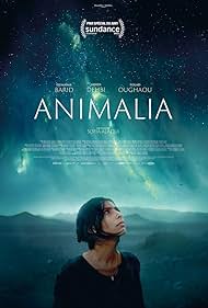 Animalia watch-Animalia