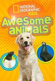 watch-Awesome Animals