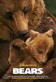Bears watch-Bears