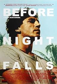 Before Night Falls watch-Before Night Falls