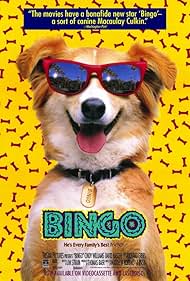 watch-Bingo