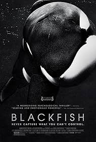 Blackfish watch-Blackfish