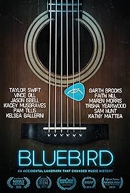 Bluebird watch-Bluebird