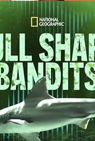 watch-Bull Shark Bandits