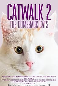 watch-Catwalk 2  The Comeback Cats