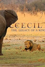 watch-Cecil  The Legacy of a King