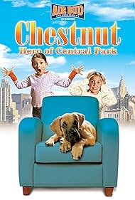 Chestnut Hero of Central Park watch-Chestnut Hero of Central Park