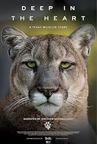 Deep in the Heart A Texas Wildlife Story watch-Deep in the Heart A Texas Wildlife Story