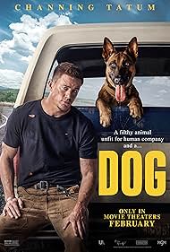 watch-Dog