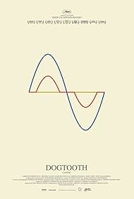Dogtooth watch-Dogtooth