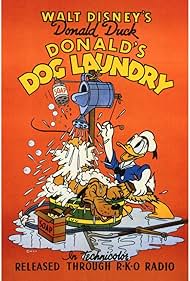 Donald s Dog Laundry watch-Donald s Dog Laundry