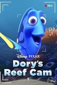 Dory s Reef Cam watch-Dory s Reef Cam