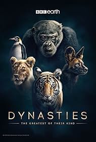 watch-Dynasties