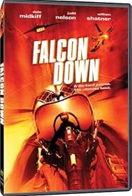 Falcon Down watch-Falcon Down