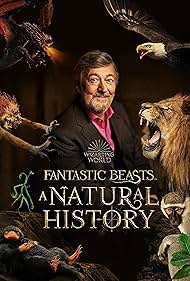 Fantastic Beasts A Natural History watch-Fantastic Beasts A Natural History
