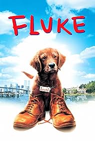 Fluke watch-Fluke