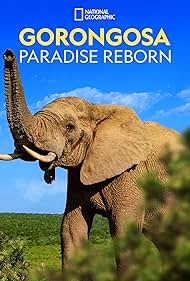 Gorongosa Paradise Reborn watch-Gorongosa Paradise Reborn