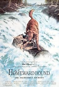 Homeward Bound The Incredible Journey watch-Homeward Bound The Incredible Journey
