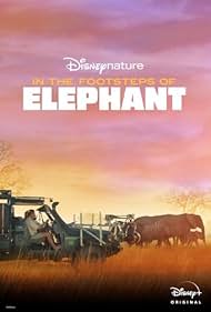 In the Footsteps of Elephant watch-In the Footsteps of Elephant