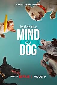 Inside the Mind of a Dog watch-Inside the Mind of a Dog