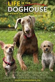 Life in the Doghouse watch-Life in the Doghouse