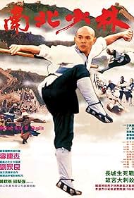 Martial Arts of Shaolin watch-Martial Arts of Shaolin