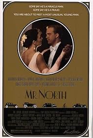 Mr North watch-Mr North