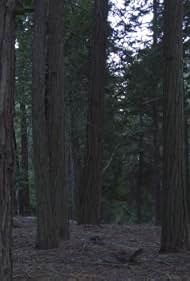 watch-Nightfall