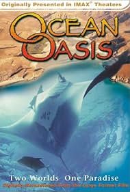 Ocean Oasis watch-Ocean Oasis