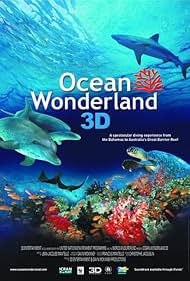 Ocean Wonderland watch-Ocean Wonderland
