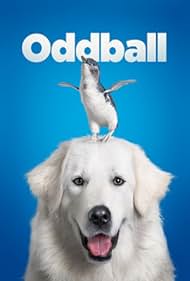 Oddball watch-Oddball