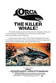 Orca watch-Orca