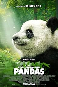 Pandas watch-Pandas