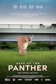 Path of the Panther watch-Path of the Panther