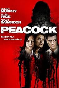Peacock watch-Peacock