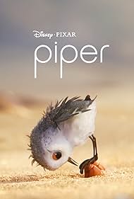 Piper watch-Piper