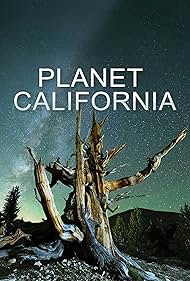 Planet California watch-Planet California