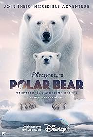 Polar Bear watch-Polar Bear