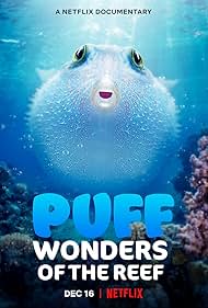 Puff Wonders of the Reef watch-Puff Wonders of the Reef