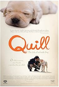 Quill The Life of a Guide Dog watch-Quill The Life of a Guide Dog