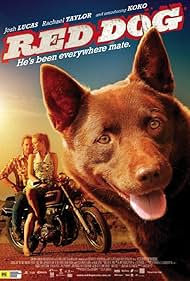 Red Dog watch-Red Dog