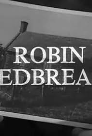 Robin Redbreast watch-Robin Redbreast