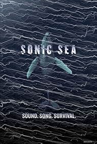 watch-Sonic Sea