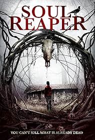 watch-Soul Reaper